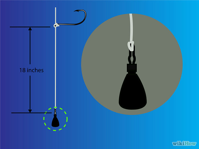 Fish a Drop Shot Rig Step 3.jpg