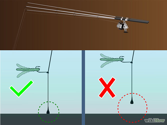 Fish a Drop Shot Rig Step 6.jpg