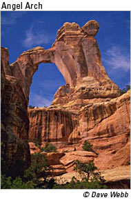 Canyonlands: Angel Arch