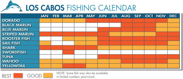 Fishing Calendar in Cabo